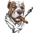 SefueViral