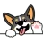 DRJAYPERU