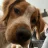 maggie13579
