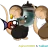 Dantexd