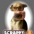 Scrappy 🐶