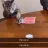 BlackCatt