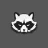BIG RACCOON