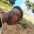 Abrham