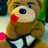 cesaralizoo