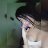 rvalennn__