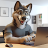 GustavoTheWolf